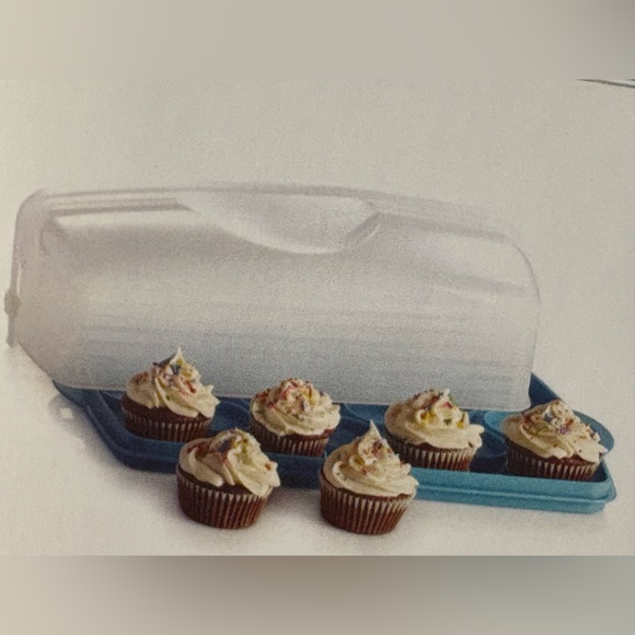 Rectangular Cake Taker - Picture 1 of 12